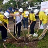 Lancement d'un programme de plantation d'arbres à Soc Trang