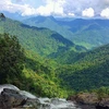 Les 10 parcs nationaux les plus attrayants du Vietnam