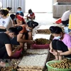 ASEAN : promotion du rôle des femmes dans l'agriculture
