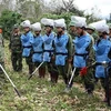 Le Vietnam présente ses expériences sur le traitement des conséquences des bombes et des mines 