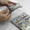 De devises étrangères transférées à HCM-Ville atteindront 6,8 milliards d'USD en 2022