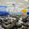 L'Australie, le 2e plus grand débouché de crevettes du Vietnam dans le CPTPP