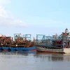 Lutte contre la pêche INN : Nam Dinh contrôle strictement les bateaux de pêche aux ports