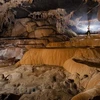 В пещере Тиен. (Источник: Oxalis Adventures- Ryan Deboodt/ Vietnam+)