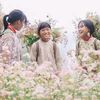 Девочки этнических меньшинств стоят посреди цветочного поля как интересная изюминка, когда вокруг туристы приезжают и фотографируются с треугольником из гречихи. (Фото: Vietnam +)