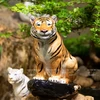Коллекция фарфоровых статуй тигра. (Фото: ИЖВ)