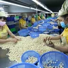 Предприятия Вьетнама используют рыночные возможности для увеличения экспорта. (Фото: ВИА)