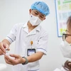 Медицинские работники знакомят людей с процедурой вакцинации. (Фото: Минь Шон/Vietnam+)