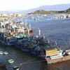Рыбацкие лодки рыбаков Ниньтхуан. (Фото: ВИА)