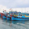 Морские рыболовные суда бросают якорь в рыболовном порту Митан в общине Тханьхай (уезд Ниньхай, пров. Ниньтхуан). (Фото: ВИА)