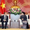 Председатель НС Нгуен Тхи Ким Нган на встрече с Главой миссии Европейского союза (ЕС) во Вьетнаме Бруно Анжетлом. Фото: ВИА