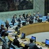 Общий вид Совбеза ООН на обсуждение ситуации в Мали. (Фото: ВИА).