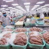 Вьетнам планирует заработать 9 млрд. долларов на рыбном экспорте в 2020 году. (Фото: ВИА)