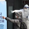 Южная Корея подтвердила шестнадцатый случай заражения коронавирусом