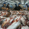Экспорт морепродуктов всегда положительно растет. (Фото: Хи Хунг/ВИА)