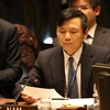 Посол Данг Динь Куи, глава Постоянного представительства Вьетнама при ООН. (Фото: ВИА)