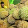 Плоды дуриана на рынке в Индонезии (Фото: AFP /ВИА)