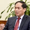 Постоянный заместитель министра иностранных дел Буй Тхань Сон (Фото: ВИА)