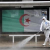 Распыление дезинфицирующего средства на улице в столице Алжира (Источник: Синьхуа / ВИА)