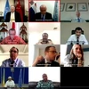 Совет Безопасности Организация Объединенных Наций (ООН) провел онлайн-заседание для обсуждения ситуации в Мали 