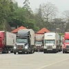Грузовики, перевозящие экспортируемые товары, застряли у пограничных пунктов пропуска Лангшон (Источник: ВИА)