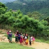Жители народности Май в поселке Лом (общины Чонгхоа, уезда Миньхоа, провинции Куангбинь). (Фото: Мань Тхань/ВИА)