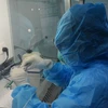 Медицинский работник берет образцы у подозреваемого на вирус в центре контроля заболеваний города Дананг (Фото: ВИА)