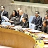 На заседании Совета безопасности ООН (Фото: ВИА) 