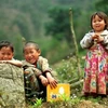 Дети из числа этнических меньшинств в районе Батксат, северная горная провинция Лаокай (Фото: ВИА) 