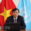 Посол Данг Динь Куи, глава Постоянного представительства Вьетнама при Организации Объединенных Наций (Источник: ВИА) 