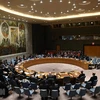 Заседание СБ ООН в Нью-Йорке (Фото: AFP/ВИА) 