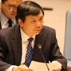 Посол Данг Динь Куи, глава постоянного представительства Вьетнама при Организации Объединенных Наций (ООН). (Фото: ВИА) 