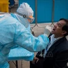Медработники берут образцы у людей в Пекине для тестирования на COVID-19, Китай, 28 мая 2020 года. (Фото: AFP/ВИА)