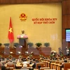9-я сессия Национального собрания (НС) 14-го созыва. (Фото: ВИА)