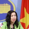 Официальный представитель Министерства иностранных дел Ле Тхи Ту Ханг (Фото: ВИА)