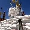 Вьетнам заработал 1,71 млрд. долл. США от экспорта почти 3,5 млн. тонн риса в первой половине этого года. (Фото: doanhnhansaigon.vn)