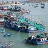 Стыковка рыбацких лодок в Замнай (лагуна Най) района Ниньхай, провинция Ниньтхуан (Фото: ВИА)