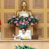 Заместитель премьер-министра Ву Дык Дам выступает на совещании. (Фото: ВИА)