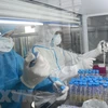 Персонал лаборатории в Дананге проводит тест. (Фото: ВИА)