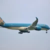 Самолет Vietnam Airlines (Источник: ВИА)