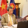 Посол Вьетнама в Великобритании Чан Нгок Ан информирует участников о борьбе с пандемией COVID-19 во Вьетнаме (Фото: ВИА)