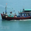 Вьетнамское рыболовное судно (Источник: ВИА)