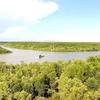 Знаменитый мангровый биосферный заповедник Канжо. (Фото: ВИА)