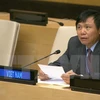 Посол Данг Динь Куи, постоянного представительства Вьетнама при ООН. (Фото: ВИА)