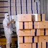 Первая партия замороженных креветок экспортирована в ЕС в рамках EVFTA 11 сентября. (Фото: ВИА)