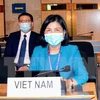Вьетнам активно участвует в 45-й очередной сессии СПЧ ООН. (Фото: ВИА)