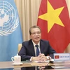 Заместитель министра иностранных дел Данг Минь Хой на онлайн-дебатах 20 октября (Фото: ВИА)