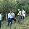 Сотрудники Фонда защиты леса и местные лесники беседуют с жителями коммуны Таленг о предотвращении лесных пожаров (Фото: ВИА)