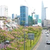 Город Хошимин форсирует свой проект по превращению в умный город к 2025 году (Фото: ВИА)