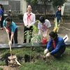 Студенты района 4 сажают деревья в рамках кампании (Источник: https://voh.com.vn/)